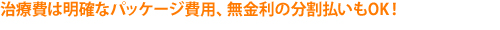明確なパッケージ費用、無金利の分割払いもOK！