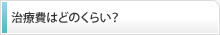 治療費はどのくらい？